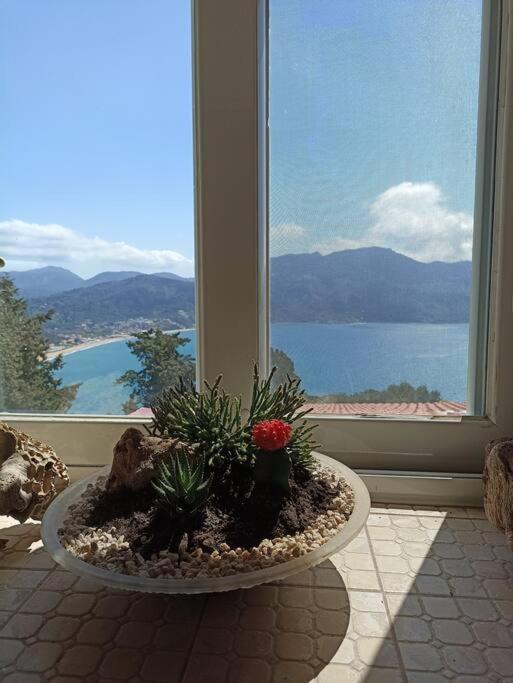 Ventus Villa Afión Exteriör bild